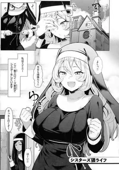 [Shiden Hiro] Tappuri Himegoto!