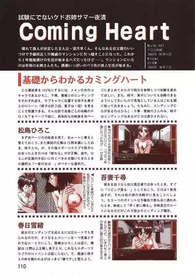 PC Bishoujo Software Strategy Book: Strategy King 2