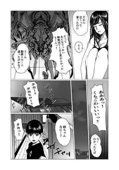 [chocohell] Otouto no Game-nou to Ane no Game-sei