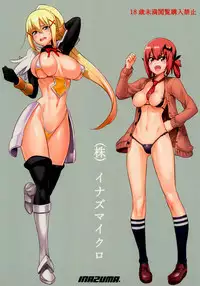 (C93) [Digital Accel Works (INAZUMA)] (Kabu) Inazumicro (Various)