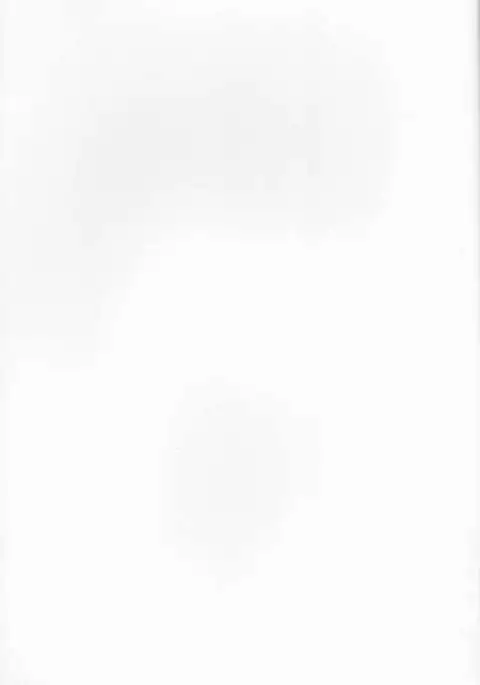 Kin Neko Patience [constantly