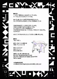 (Reitaisai 11) [Shirokurousa (Sugiyuu)] Honey x Honey (Touhou Project)