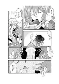 Midnight X (Star Ocean 3)