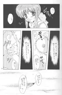 [Meisaku Network (Mizuno Makoto, Guranitto)] AKA