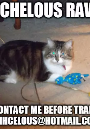 Todoroki-kun wa Taihen na Mono o Motte Kimashita.