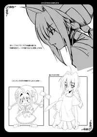 (C74) [P-POINT] VITA STRIKE COMPLETE (Mahou Shoujo Lyrical Nanoha)