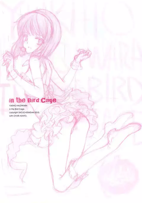 IDOLTIME SPECIAL BOOK YUKIHO HAGIWARA in the Bird Cage