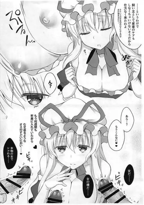 Yakumo-ke no Rakunou Jijou