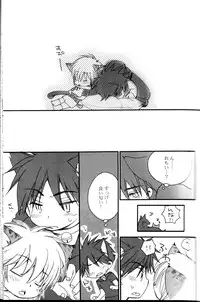 Peach Drop- Arco Iris