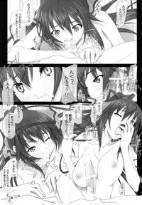 (COMIC1☆5) [IRODORI (SOYOSOYO)] H'I,S (Infinite Stratos)