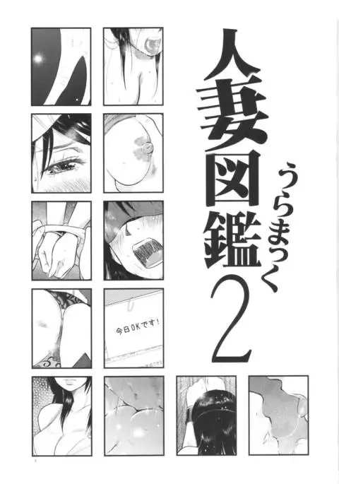 Hitozuma Zukan 2