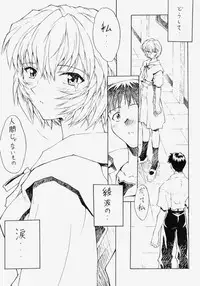 (C53) [Nakayohi (Mogudan)] LEI (Neon Genesis Evangelion)