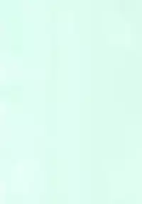 Shin Kegare CG Shuu 2