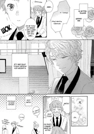 The Daydreamer Falls in Love