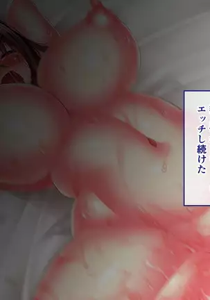 Hikaeme Jimime na Imouto to Nettori Gattsuri Love Love Ecchi