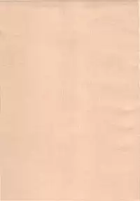 (COMIC1☆2) [Tololinco (Tololi)] Dream to Issho! (Yes! Precure 5)