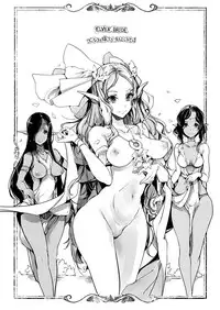 [Endou Okito] Elf no Yomeiri [Digital]