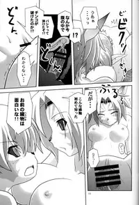 (C77) [Circle Credit (Akikan)] Irojiro Mithran Tarutaru (Final Fantasy XI)