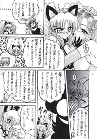 (C55) [L-Gauge Sha (Shōryū)] R2 (Martian Successor Nadesico)