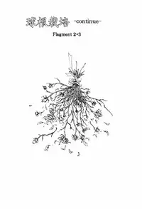 [Kazuhisa Shiromi] Denki Mushouka