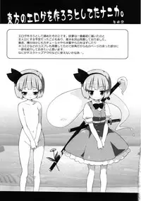 (Reitaisai 10) [Dr.VERMILION (Petenshi)] Meikai Inkou -Adehada Kirokuchou- (Touhou Project)