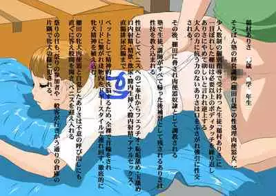 Hayashibara Hikari Digital Works-shuu Vol. 02 Niku Benki 02