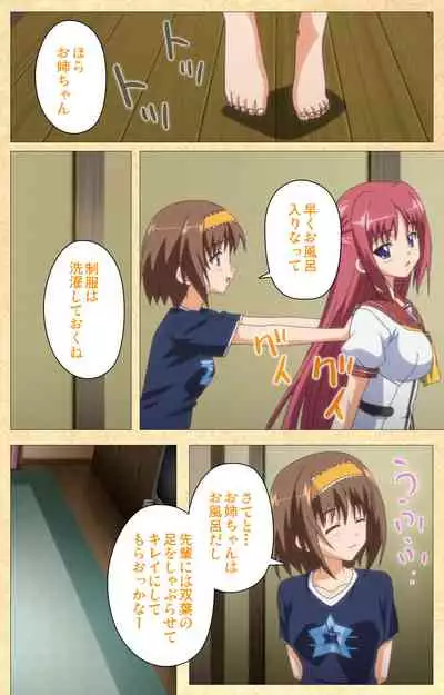 Fukubiki! Triangle Kanzenban