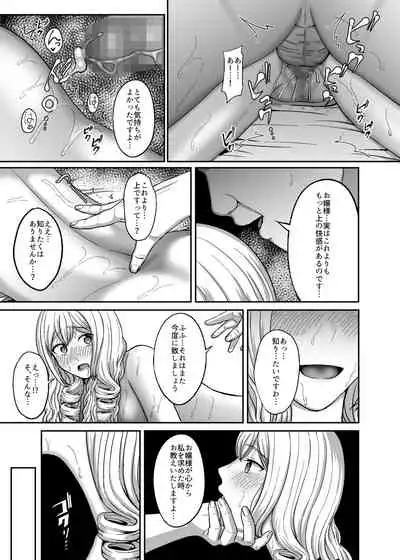 Ichiryuu no Lady wa Seikoui no Gijutsu mo Ichiryuu denakute wa