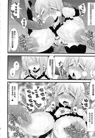 Shield Knight Elsain Vol. 14 Succubus Ritual