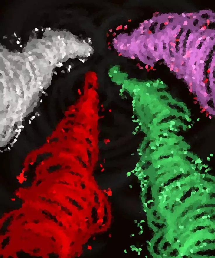 Chronicles of Lame Hero