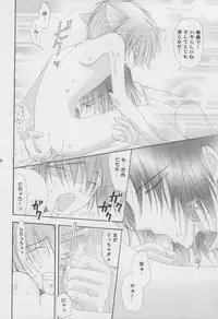 (C68) [Mutsuharu (Kagami Haruki)] Nekomimi Zouryouchuu (Gundam SEED DESTINY) [Incomplete]