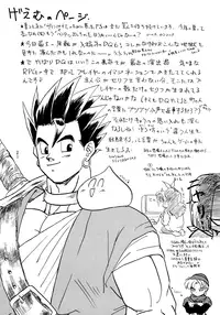 (C49) [Chirigami Goya, Fusuma Goten (Shouji Haruzo)] Z (Dragon Ball Z)