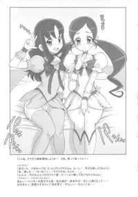 (C78) [Niku Ringo (Kakugari Kyoudai)] Tokyo Catch (Futari wa Precure)