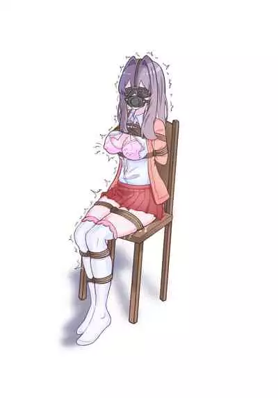 [hds]Secret of Xiaoxuan