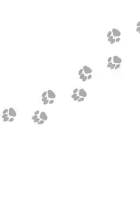 [Sabawo_Transistor Angel (380)] 103 Goushitsu no Neko