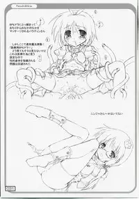 (C73) [Testa Kitchen (Testa)] Over "RO" ad (Ragnarok Online)