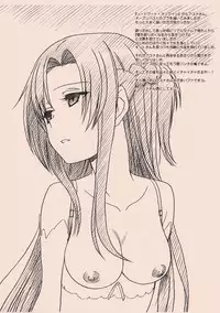 (SC57) [MEKONGDELTA & DELTAFORCE (Route39, Zenki)] EXTRA "C" SC57 Ban (Various)