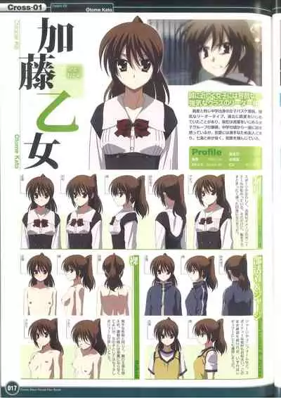 Cross Days Visual Fan Book