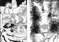 [Shin Tsuguru] Physical Flapper