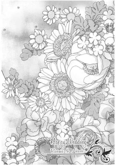 RaA Sairokushuu - Strawberry LIFE