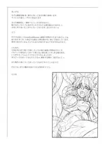 (C83) [Kougeki (Ootsuki Wataru)] Hashihime Shinshoku -San- (Touhou Project)