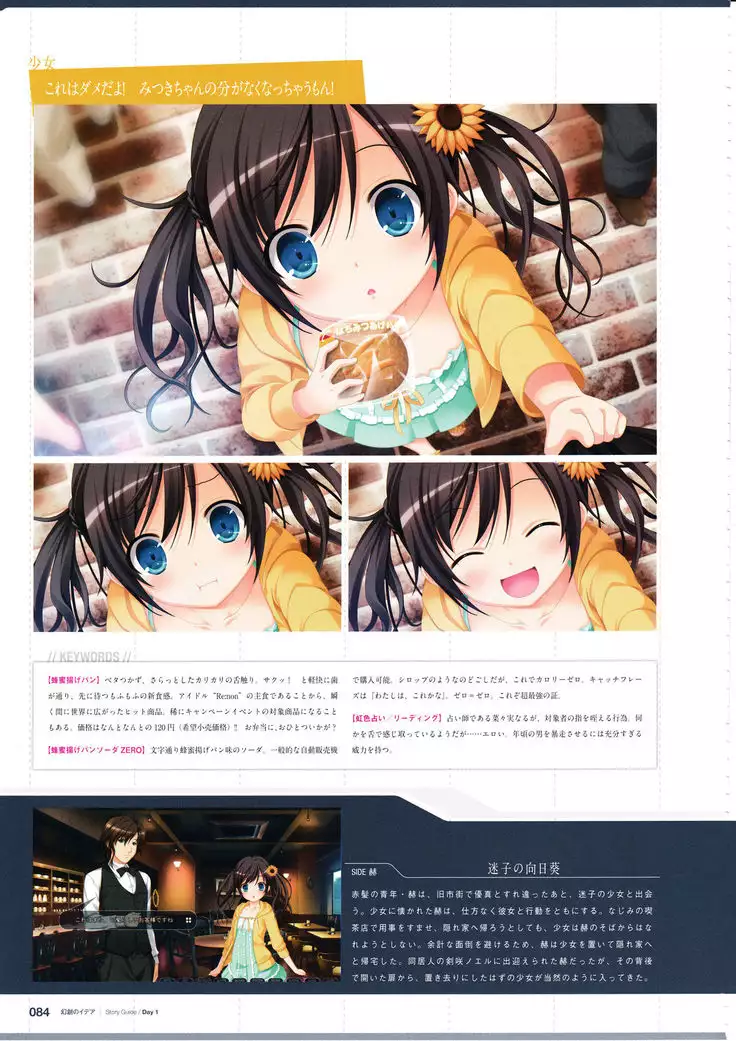 3rdEye Official Visual Fan Book RERUM MEMORIA