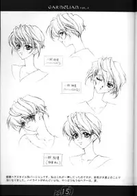 [CARNELIAN] CARNELIAN vol.2 - Re·Leaf Settei Shiryou Tsudo