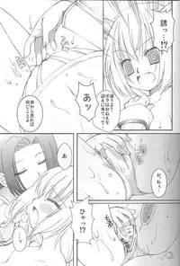 (C73) [chaotic_prism (Asato)] Fuusui Inoshishi (Final Fantasy XI)