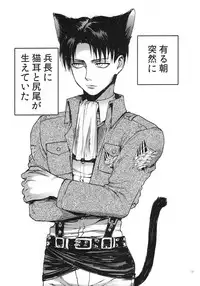 [Onjire (Tani)] Nekomimi Heichou ga Hatsujoushiteru Dake no Hon (Shingeki no Kyojin)
