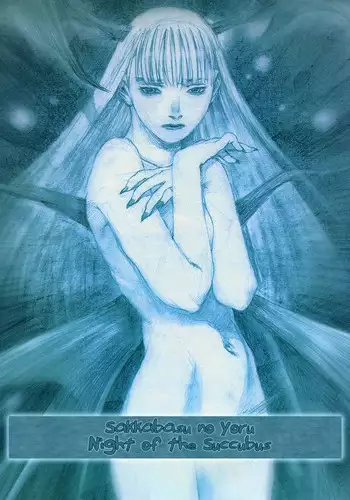 (C53) [Pornostar (Samura Hiroaki)] Succubus no Yoru | Night of the Succubus (Nureta Osanazuma) (Darkstalkers) [English] [Zzled]