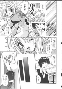 [Matra Milan] Palladium Garden