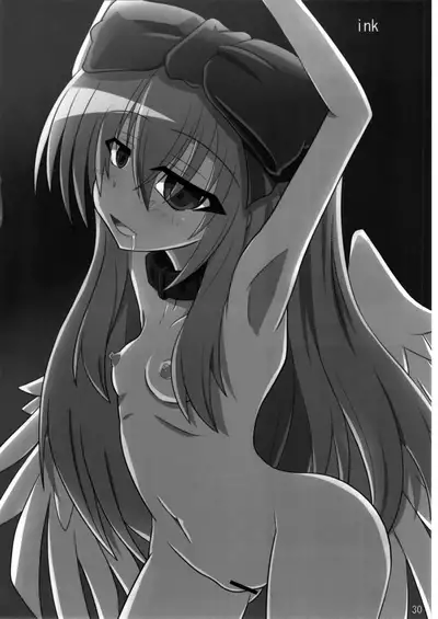 Shinshoku Misao Hime