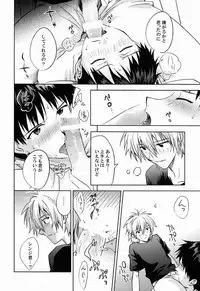 (C80) [Cassino (Magarikoji Lily)] LOCK'N' UP! (Neon Genesis Evangelion)