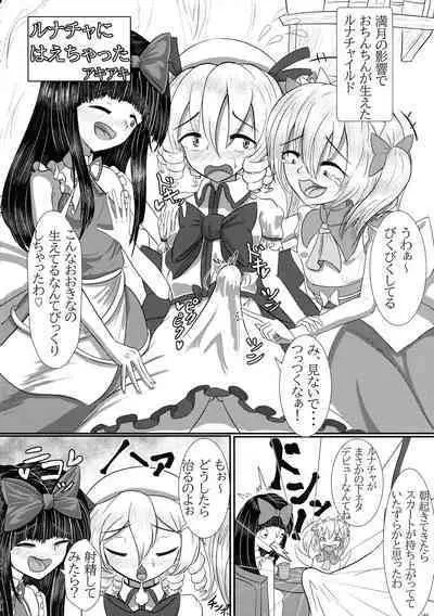 Touhou Ochinpo Haechatta Goudoushi